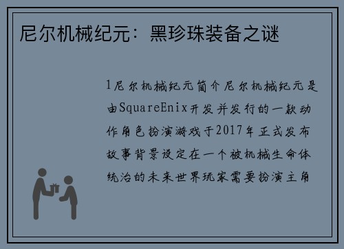 尼尔机械纪元：黑珍珠装备之谜